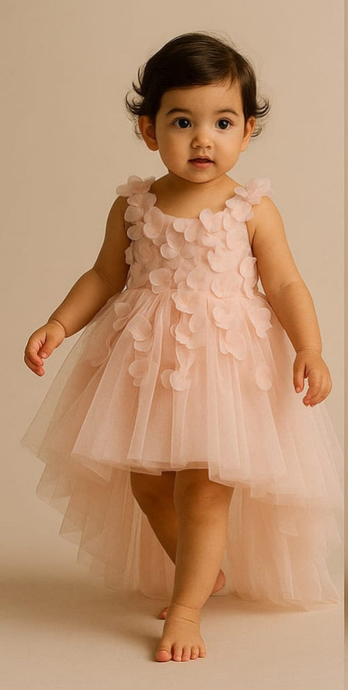 Pre Order: Hazel Pink Net Dress