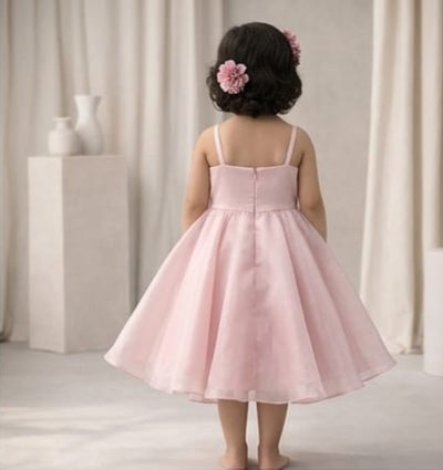Pre Order: Blush Rose Princess Dress