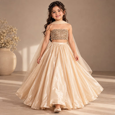 Pre Order: Champagne Dream Lehenga
