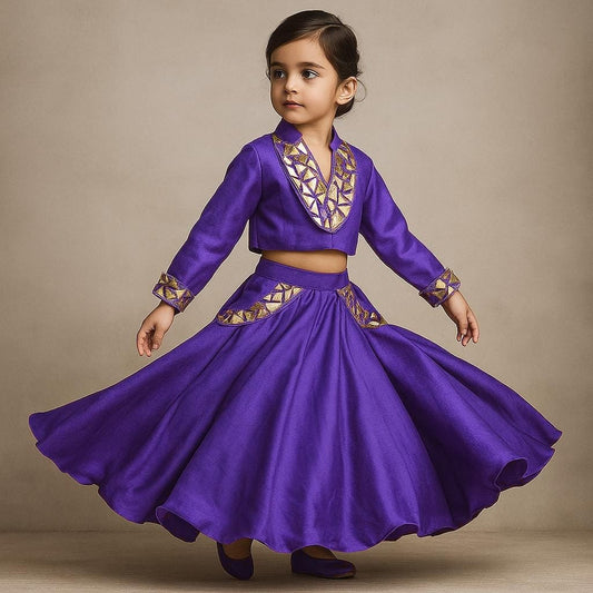 Pre Order: Embellished Top And Lehenga