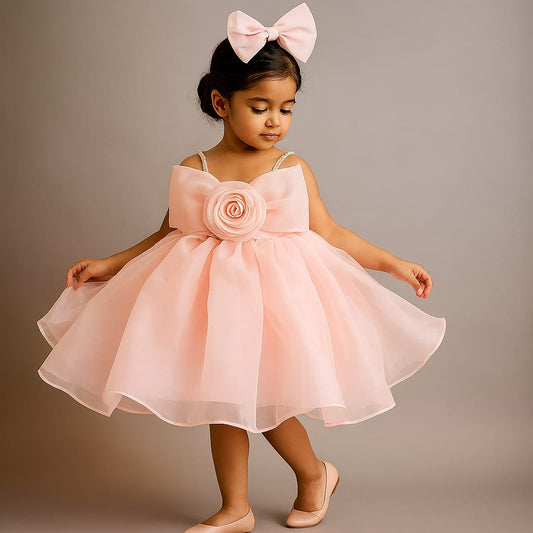 Pre Order: Ford Pink Organza Dress