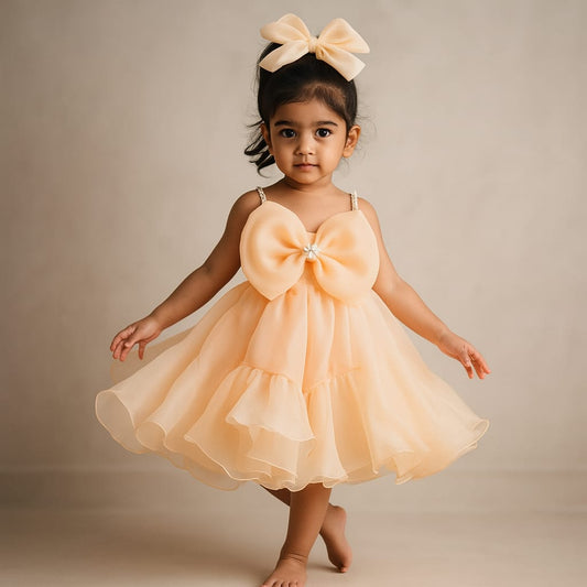 Pre Order: Eva Pearl Organza Dress