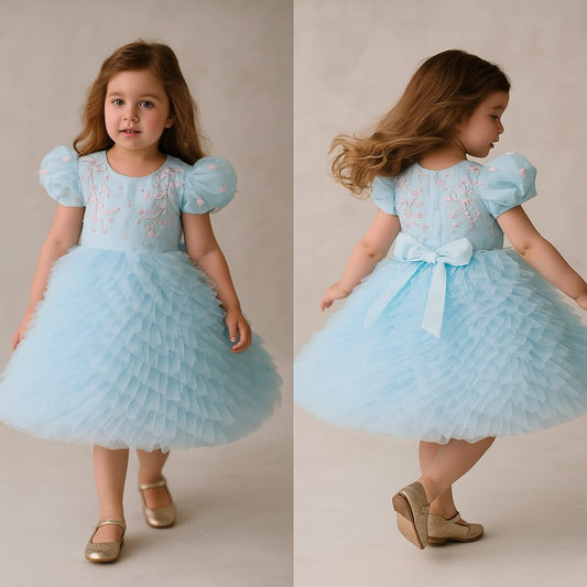 Pre Order: Pretty Beads Embroidered Pleated Bottom Blue Dress