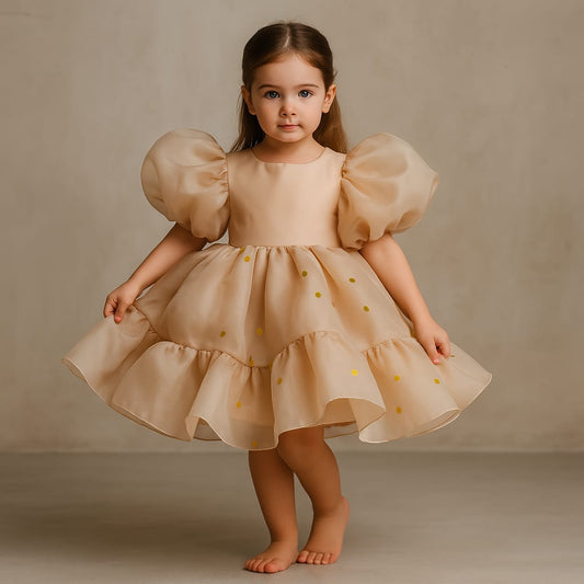 Pre Order: Charming Organza Dress.