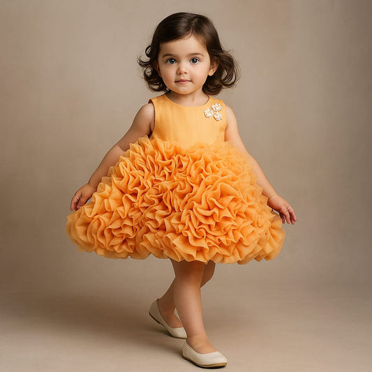 Pre Order: Organza Flowers Enhanced Orange Knee Length Dress
