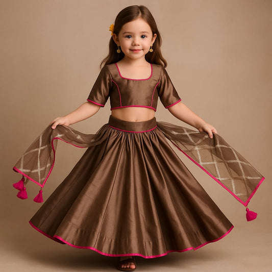 Pre Order: Brown Lehenga Set