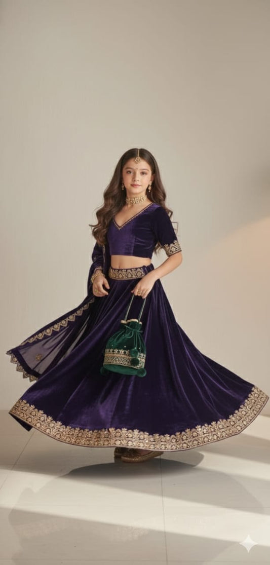 Pre Order: Purple Velvet Lehenga Set