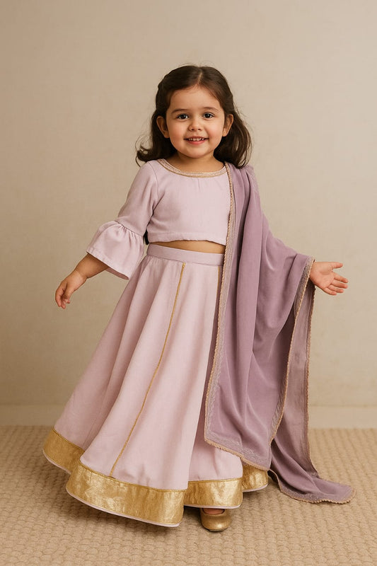 Pre Order: Onion Pink Velvet Embroidered Lehenga Set