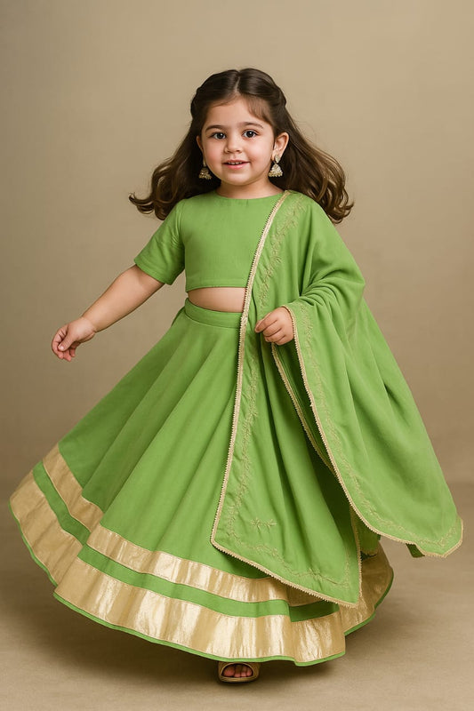 Pre Order: Green Velvet Embroidered Lehenga Set