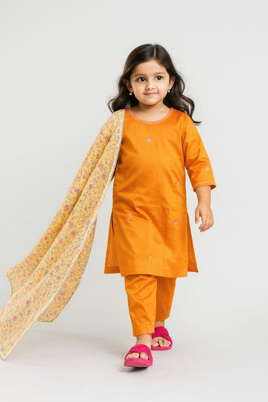 Pre Order:Sand Dune Embroidered Suit Set