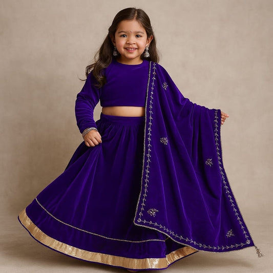 Pre Order: Purple Velvet Embroidered Lehenga Set