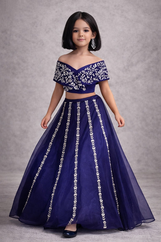 Pre Order: Royal Sapphire Charm Lehenga