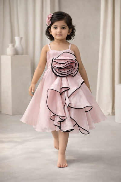 Pre Order: Blush Rose Princess Dress