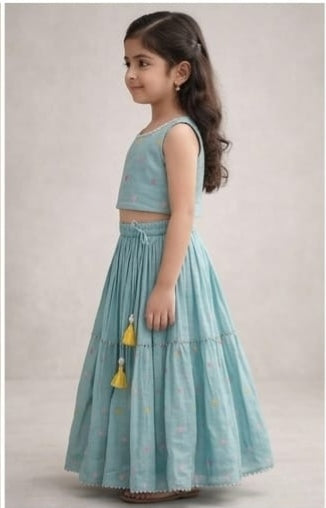 Pre Order: Neel Pankhuri Lehenga Set