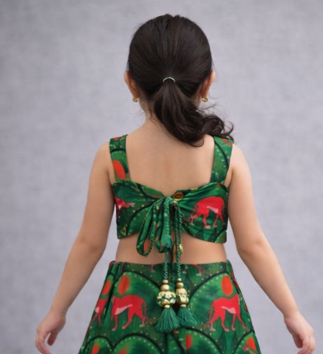 Pre Order: Vanika Vibe Lehenga Set