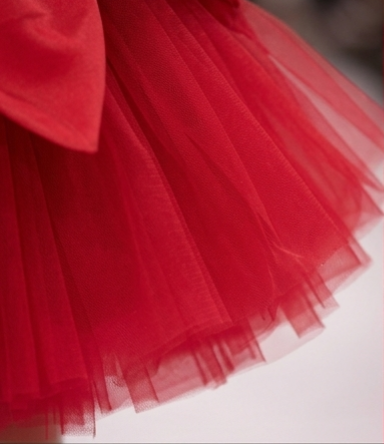 Pre Order: Scarlet Swan Princess Dress