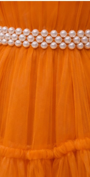 Pre Order: Orange Blossom Party Dress