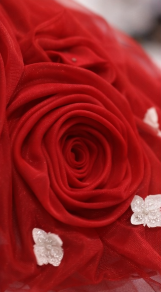 Pre Order: Ruby Rose Princess Dress