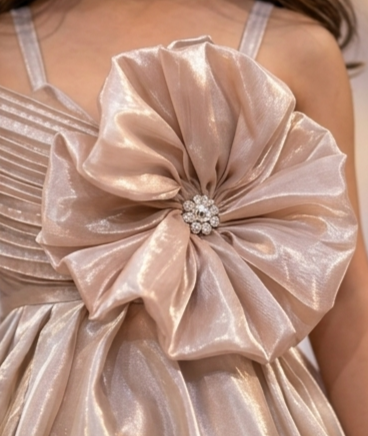 Pre Order: Champagne Royal Princess Gown