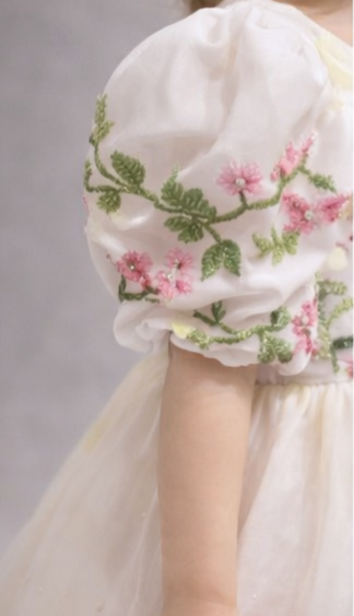 Pre Order: Cute Lion Celebration Dress