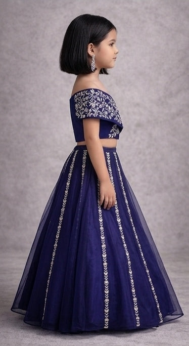 Pre Order: Royal Sapphire Charm Lehenga