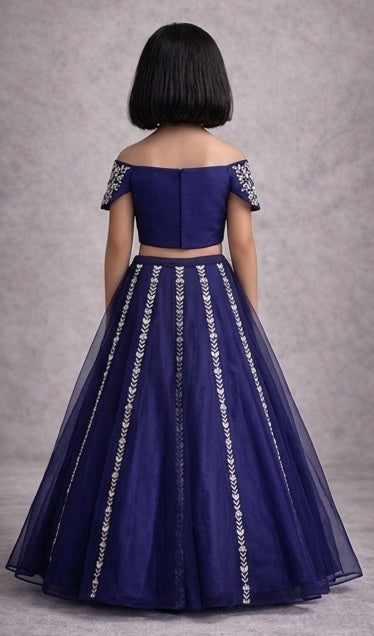 Pre Order: Royal Sapphire Charm Lehenga