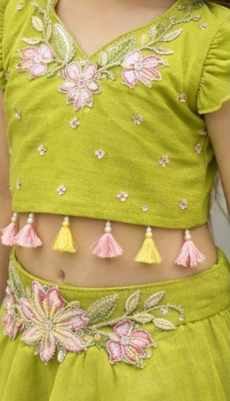 Pre Order: Emerald Meadow Lehenga Set
