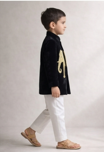 Pre Order: Royal Gajraj Velvet Sherwani