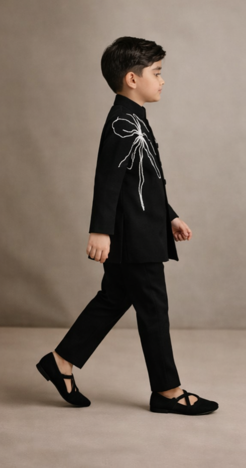 Pre Order: Silver Aura Embroidered Sherwani And Pant