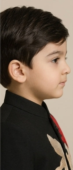Pre Order: Black Embroidered Sherwani and Pant
