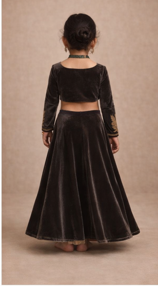 Pre Order: Noor-e-Sham Velvet Saree