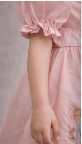 Pre Order: Blush Princess Parade Dress