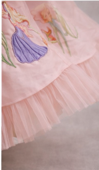 Pre Order: Blush Princess Parade Dress