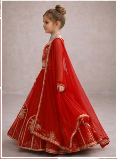 Pre Order: Aarohi Bridal Red Lehenga Set