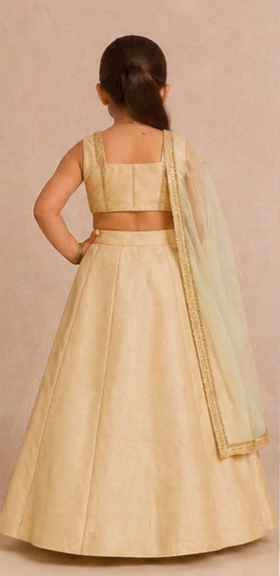 Pre Order: Pastel Royale Embroidered Lehenga Set
