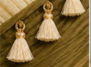Pre Order: Fringe Embellished Top And Lehenga