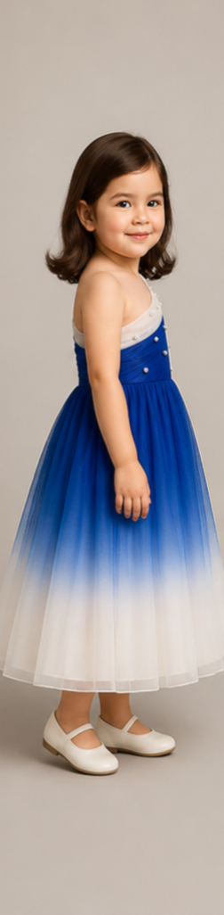 Pre Order: Dual Shaded Charming One Shoulder Gown