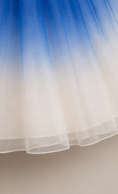 Pre Order: Dual Shaded Charming One Shoulder Gown