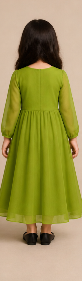 Pre Order: Aiza Olive Georgette Anarkali Set