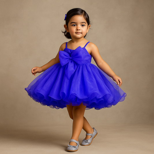 Pre Order: Spaghetti Straps Sleeveless Organza Blue Dress