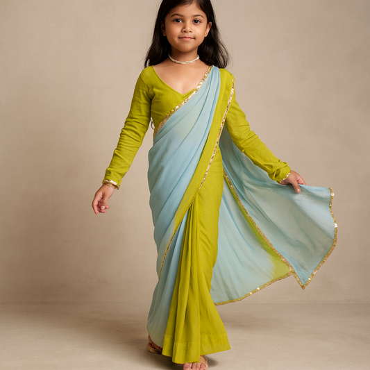 Pre Order: Multi Georgette Saree