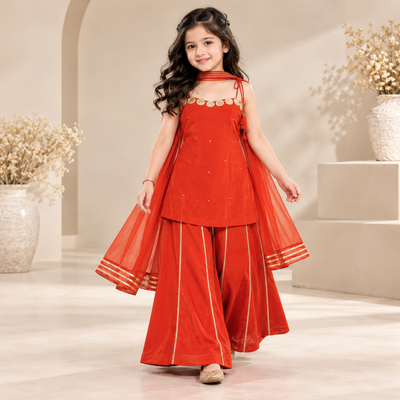 Pre Order: Ruby Raagini Sharara Set