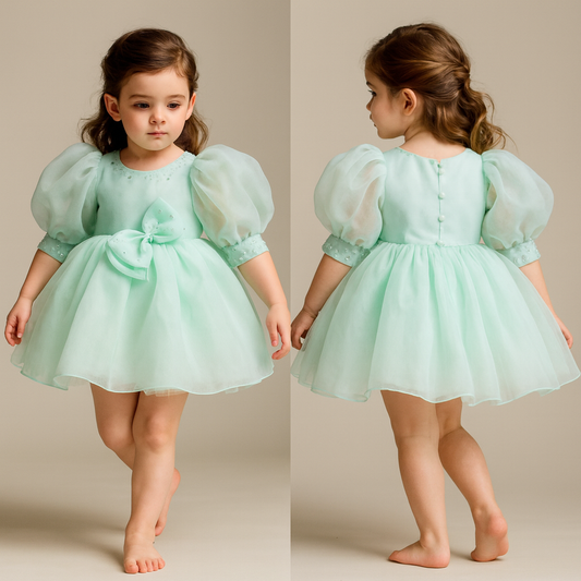 Pre Order: Cut Dana Embellished Gorgeous Dress With Matching Swirled Hair Clip