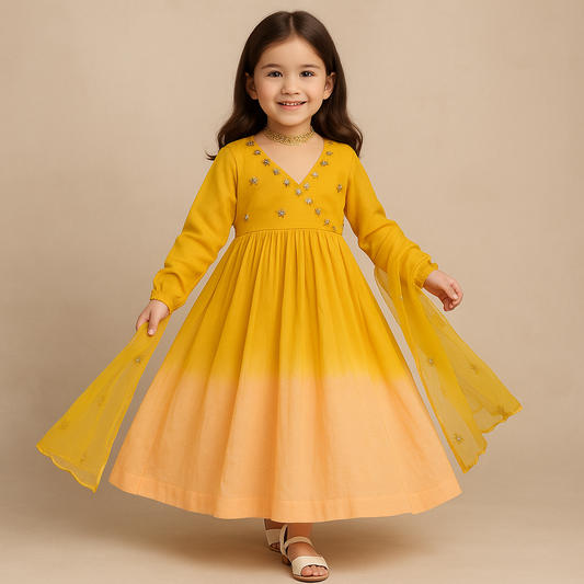 Pre Order: Ombre Anarkali Suit Set