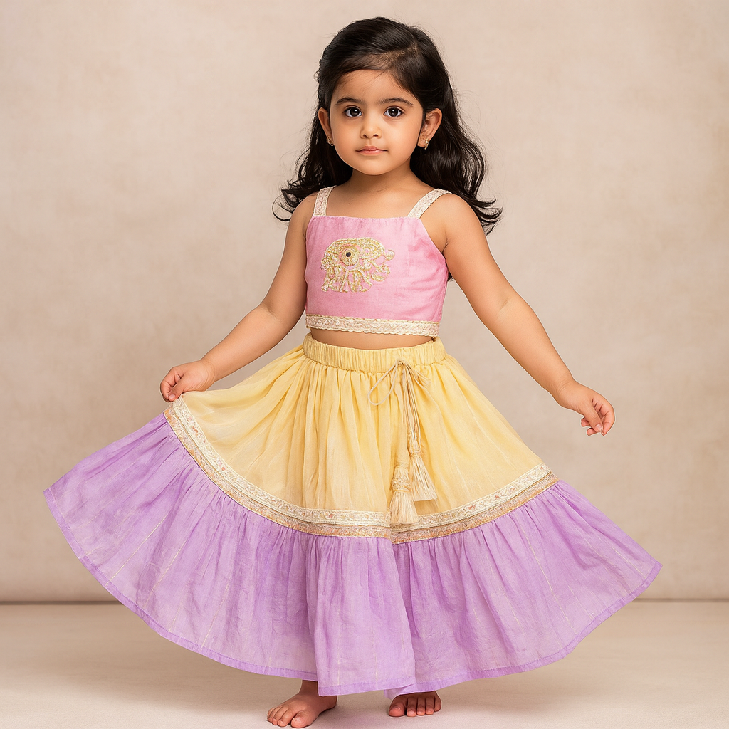 Pre Order: Strappy Elephant Embroidered Top With Dual Toned Lehenga